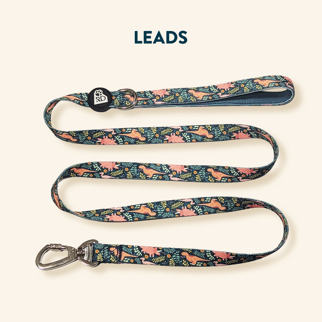 LEADS