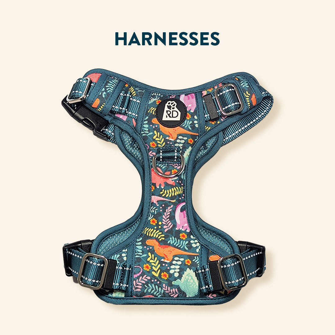 HARNESSES