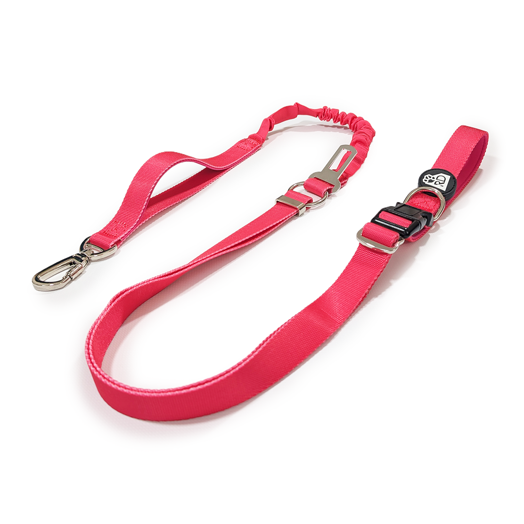 Pink Pawfection Adventure Lead