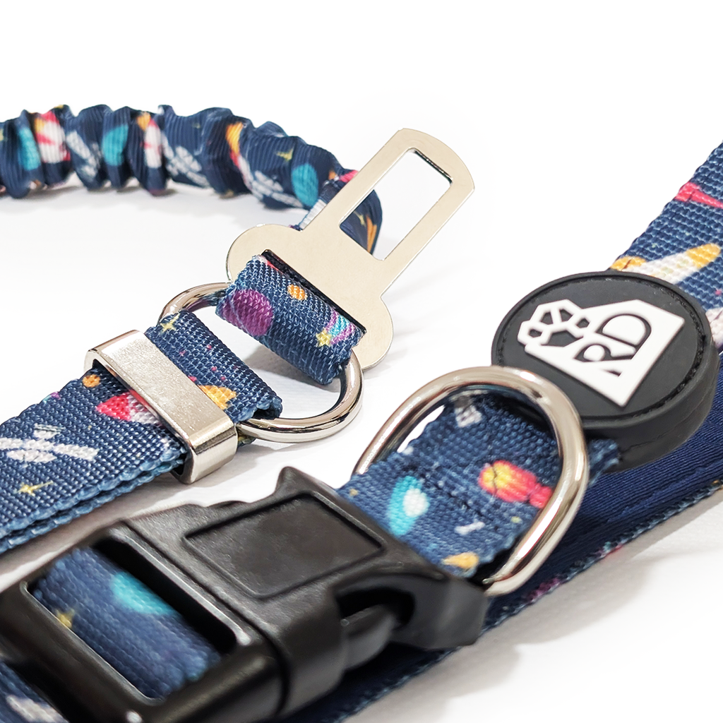 Bark Side Of The Moon Adventure Lead