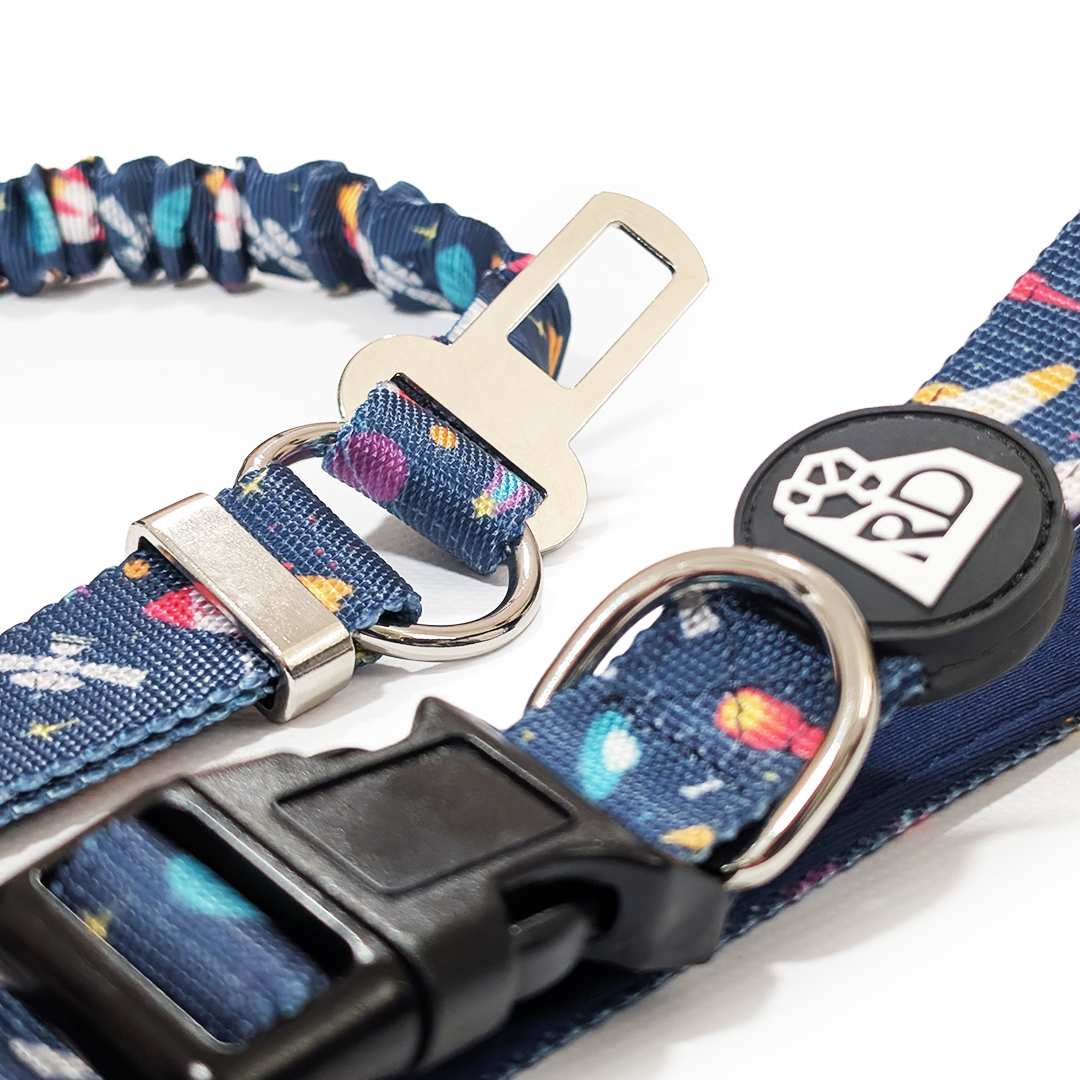 Bark Side Of The Moon Adventure Lead