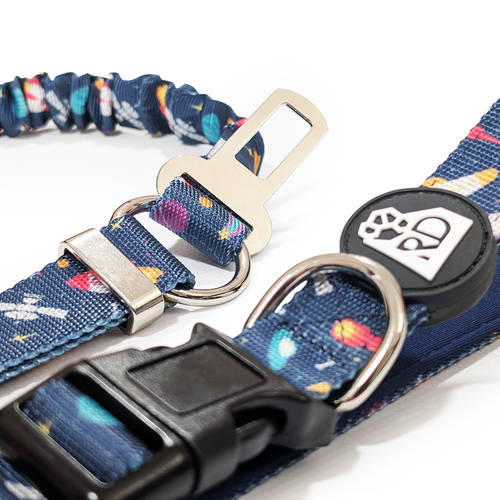 Bark Side Of The Moon Adventure Lead