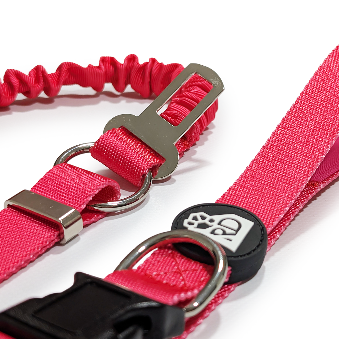 Pink Pawfection Adventure Lead