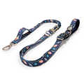 Bark Side Of The Moon Adventure Lead