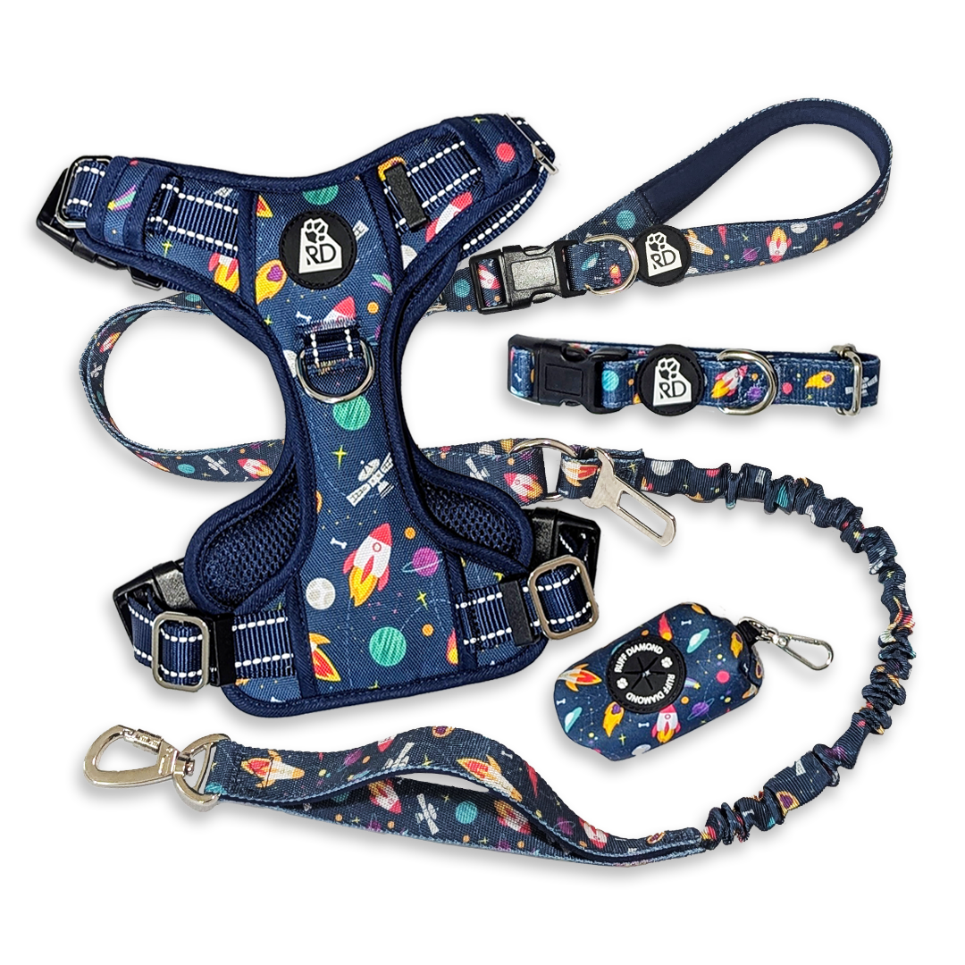Barkside of the Moon Road Trip Bundle