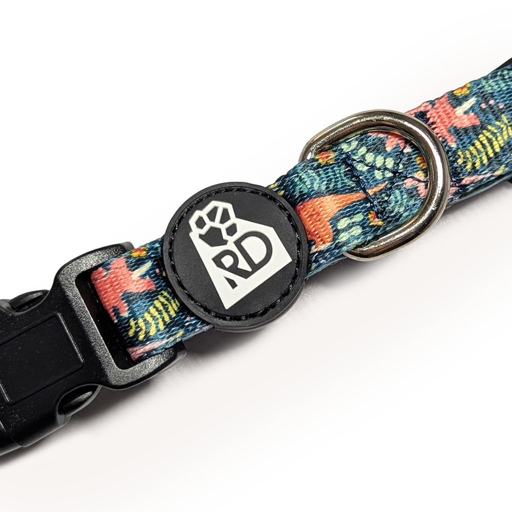 Jurassic Bark Collar