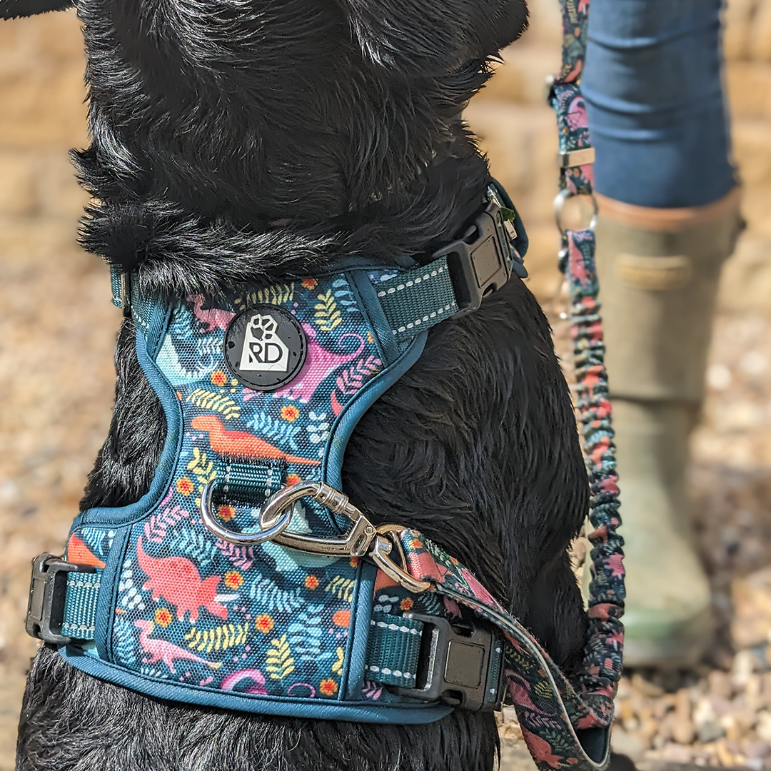 Jurassic Bark Harness