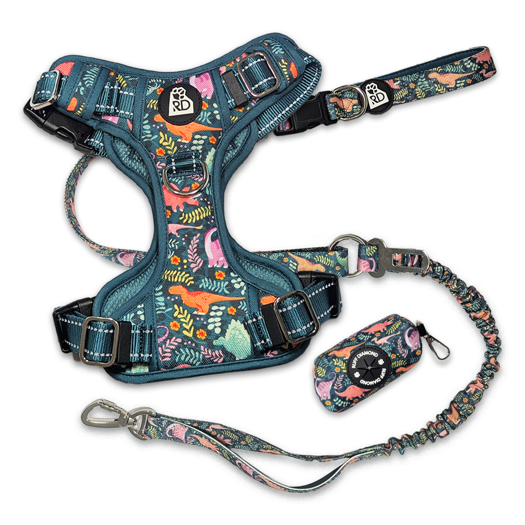 Jurassic Bark Road Trip Bundle