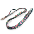 Jurassic Bark Adventure Lead