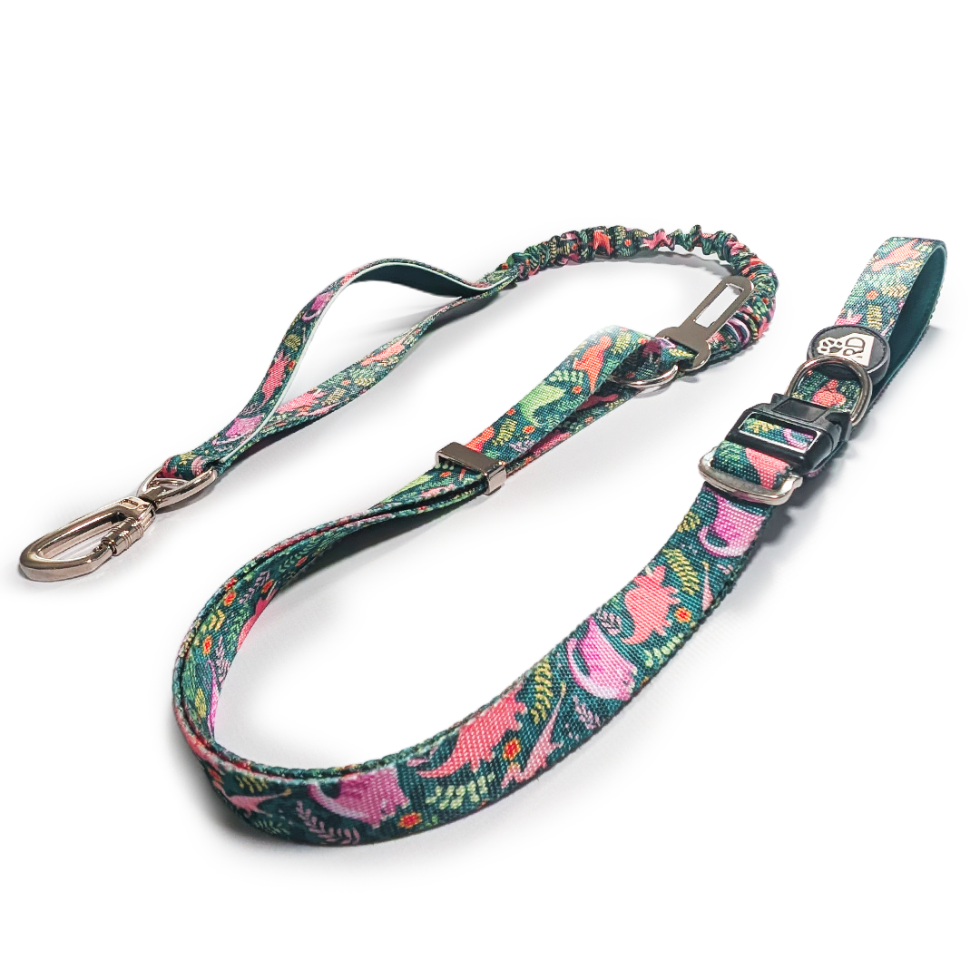 Jurassic Bark Adventure Lead