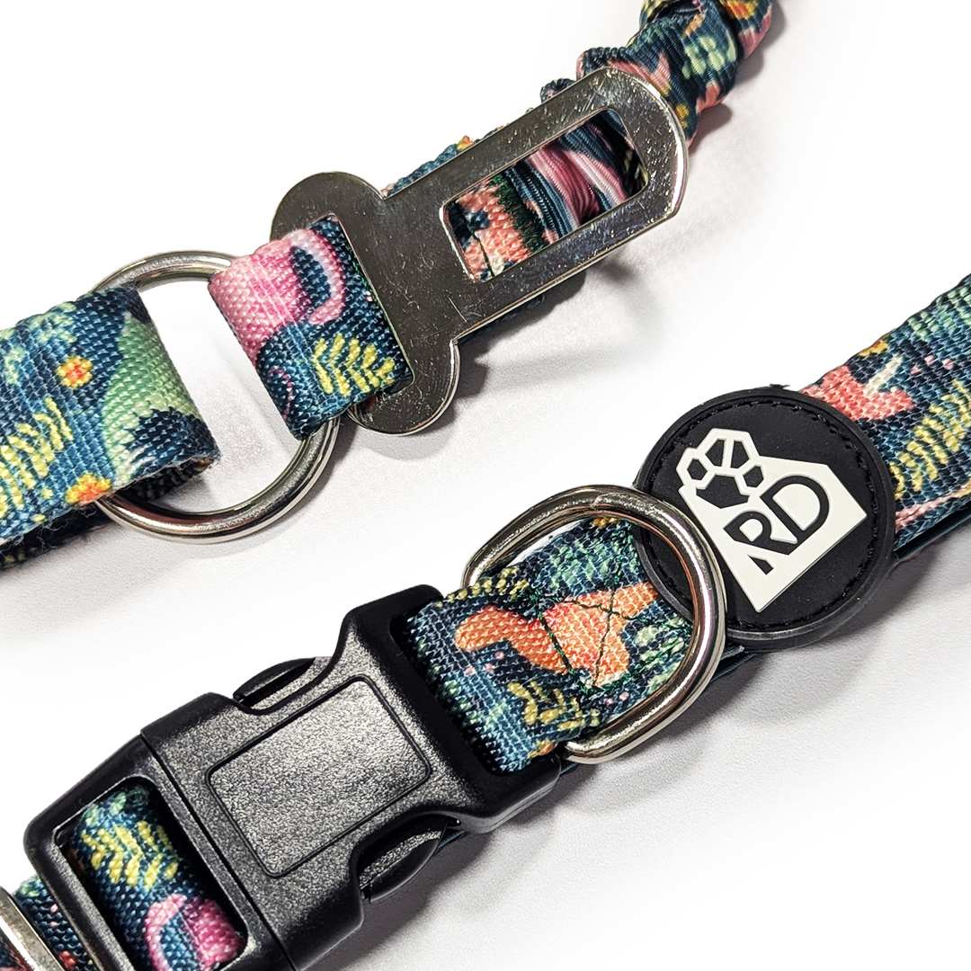 Jurassic Bark Adventure Lead