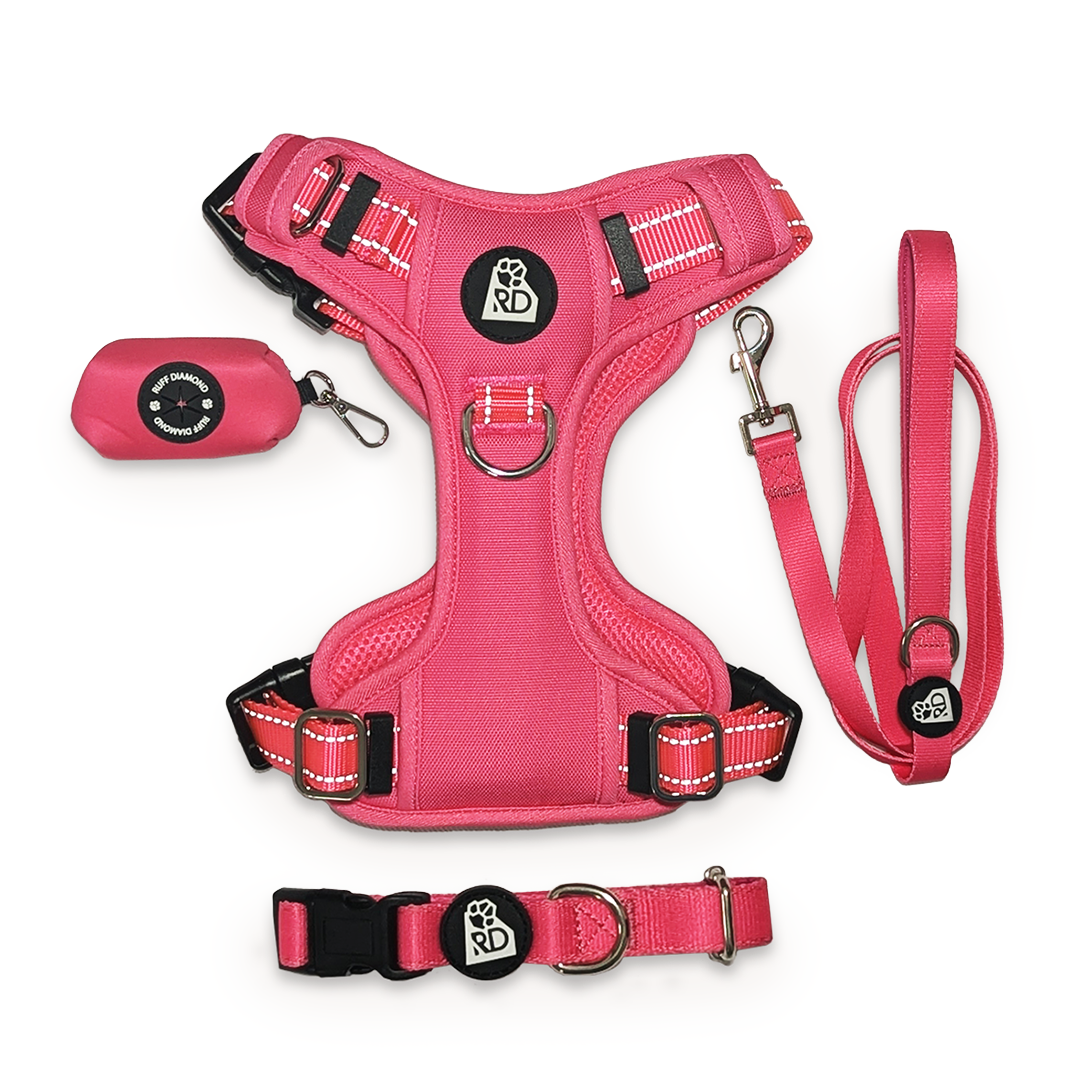 Pink Pawfection Bundle