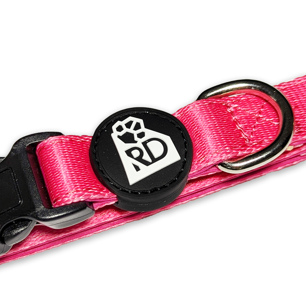 Pink Pawfection Collar