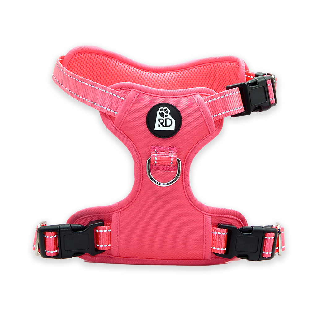 Pink Pawfection Harness