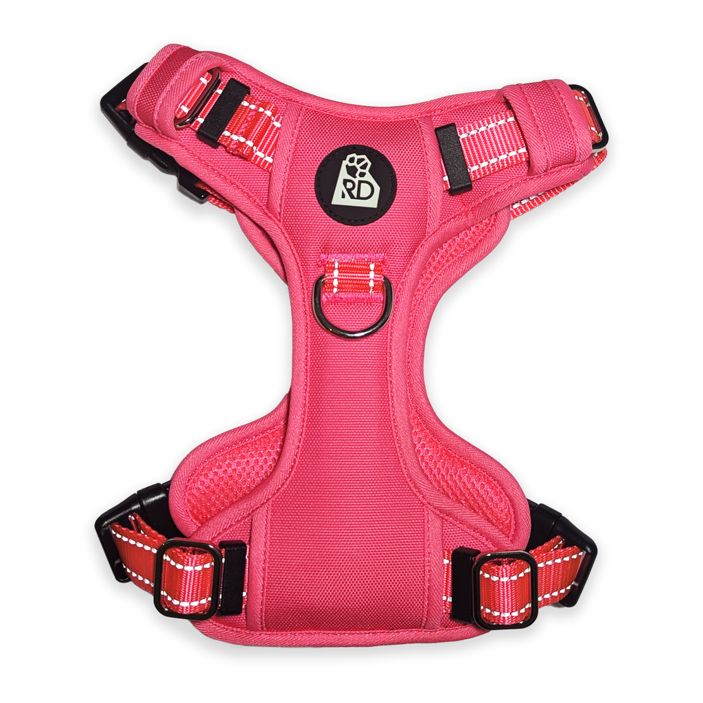 Pink Pawfection Harness