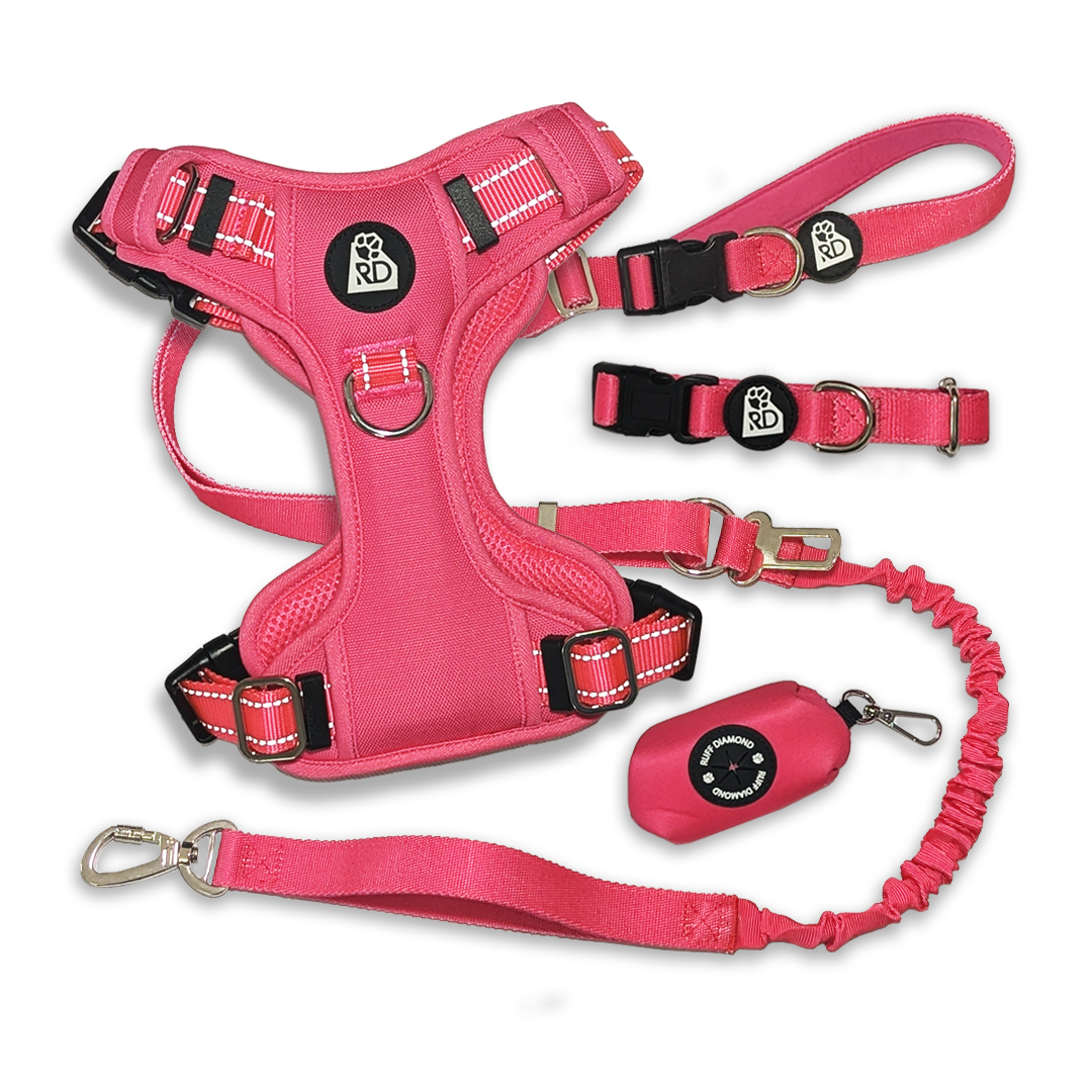 Pink Pawfection Road Trip Bundle